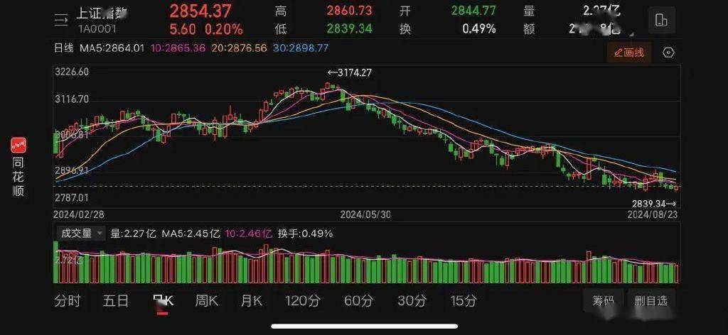中报密集披露，如何做好投资决策？