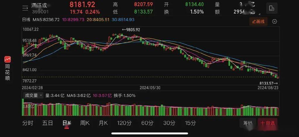 中报密集披露，如何做好投资决策？