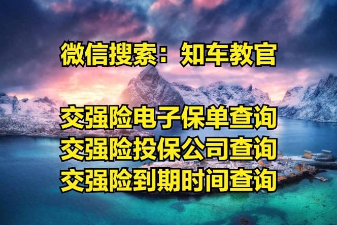 交强险查询保单怎么查？如何查询车险保单？