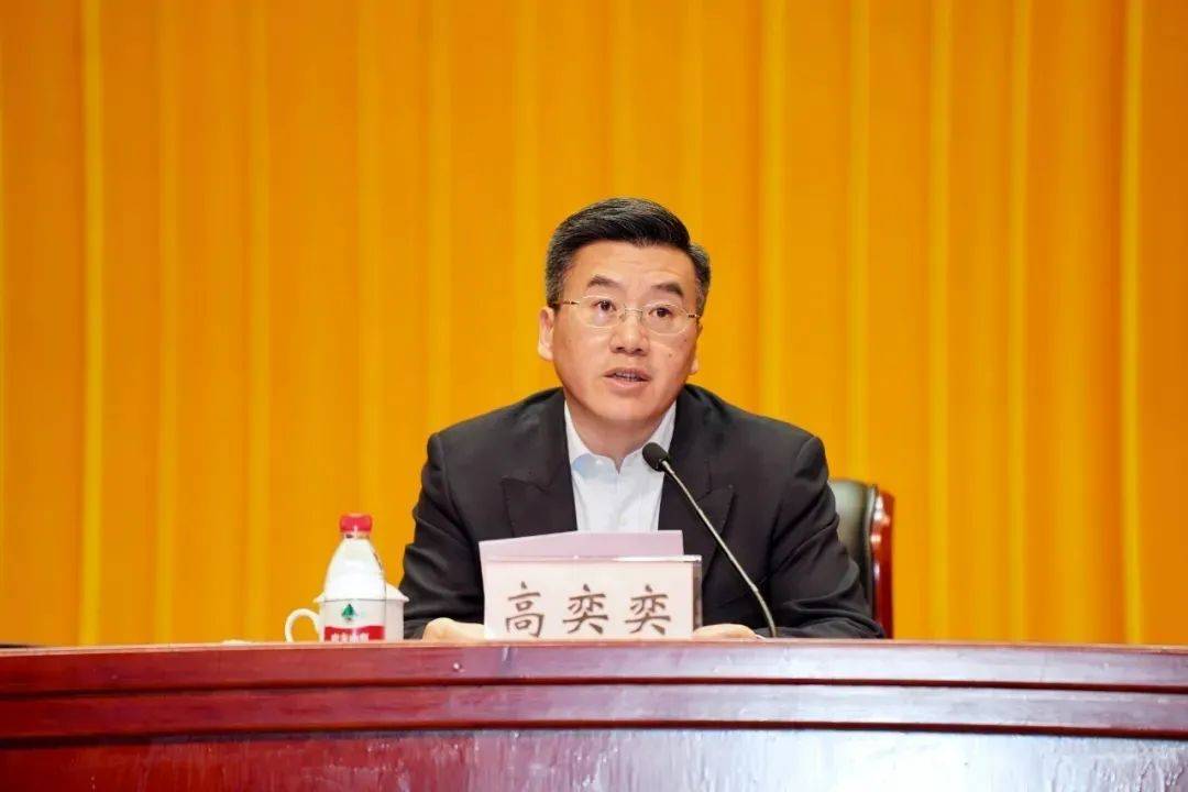 中央批准，开除高奕奕党籍