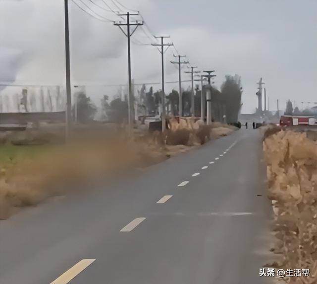 山东滨州一工厂发生气体泄漏如浓雾飘散 当地通报