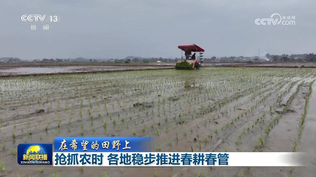 中国经济“多点开花”释放积极信号 向好趋势强劲