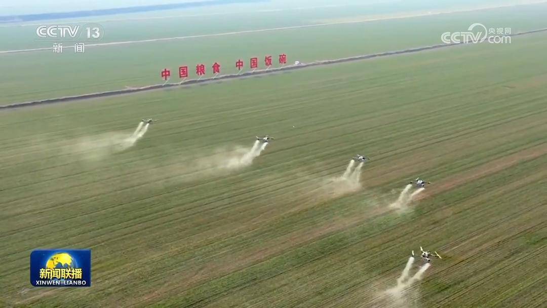中国经济“多点开花”释放积极信号 向好趋势强劲