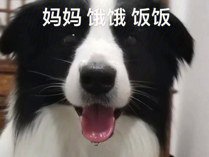 饭饭理财(饭饭1080怎么盈利)