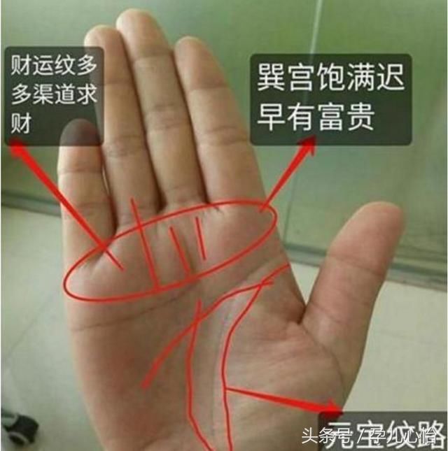 理财的手相(理财纹手相很会照顾人)