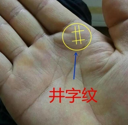 理财的手相(理财纹手相很会照顾人)