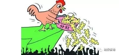 天天分红理财(每天分红的理财产品)