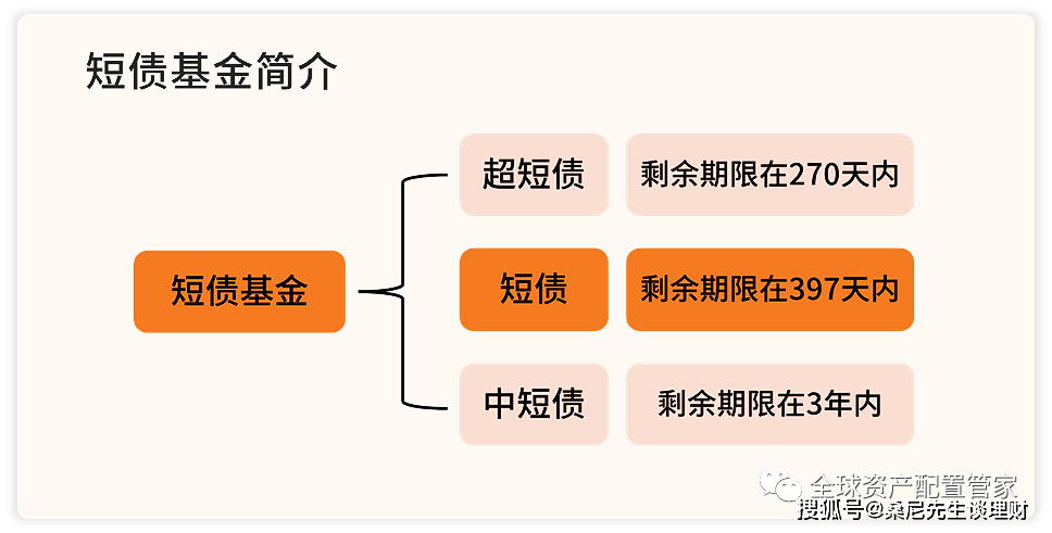 理财基金模式(理财型基金的特点)