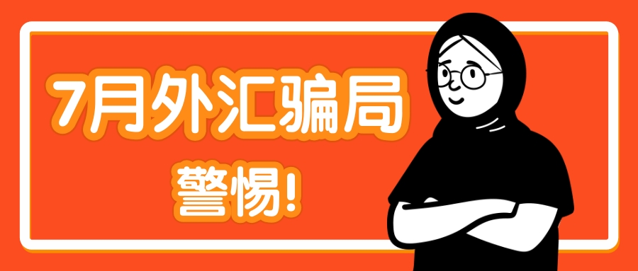 庞氏骗局理财(庞氏骗局收益率)