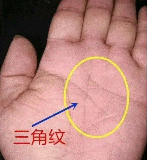 手相理财(手相理财线)