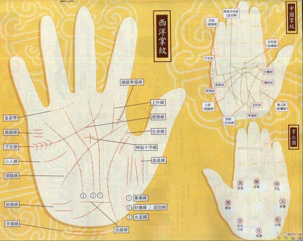 手相理财(手相理财纹与金星带的区别)