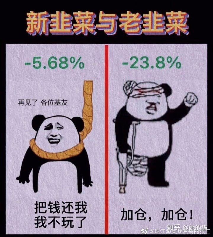 理财不用懂太多(理财不用懂太多在线阅读)
