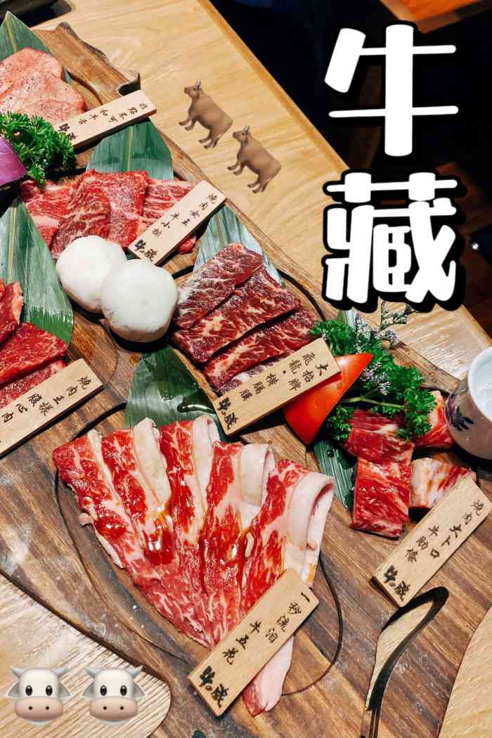 牛藏(牛藏芝的作用)