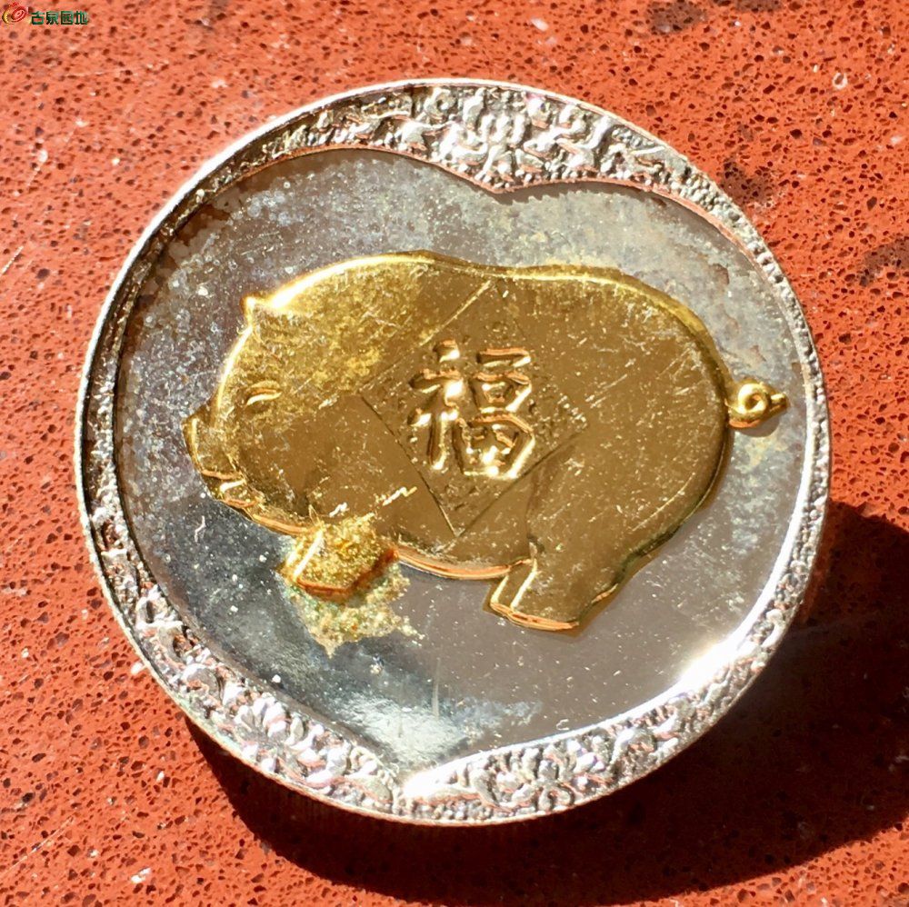 猪猪币(猪猪币的团队跑路了吗)