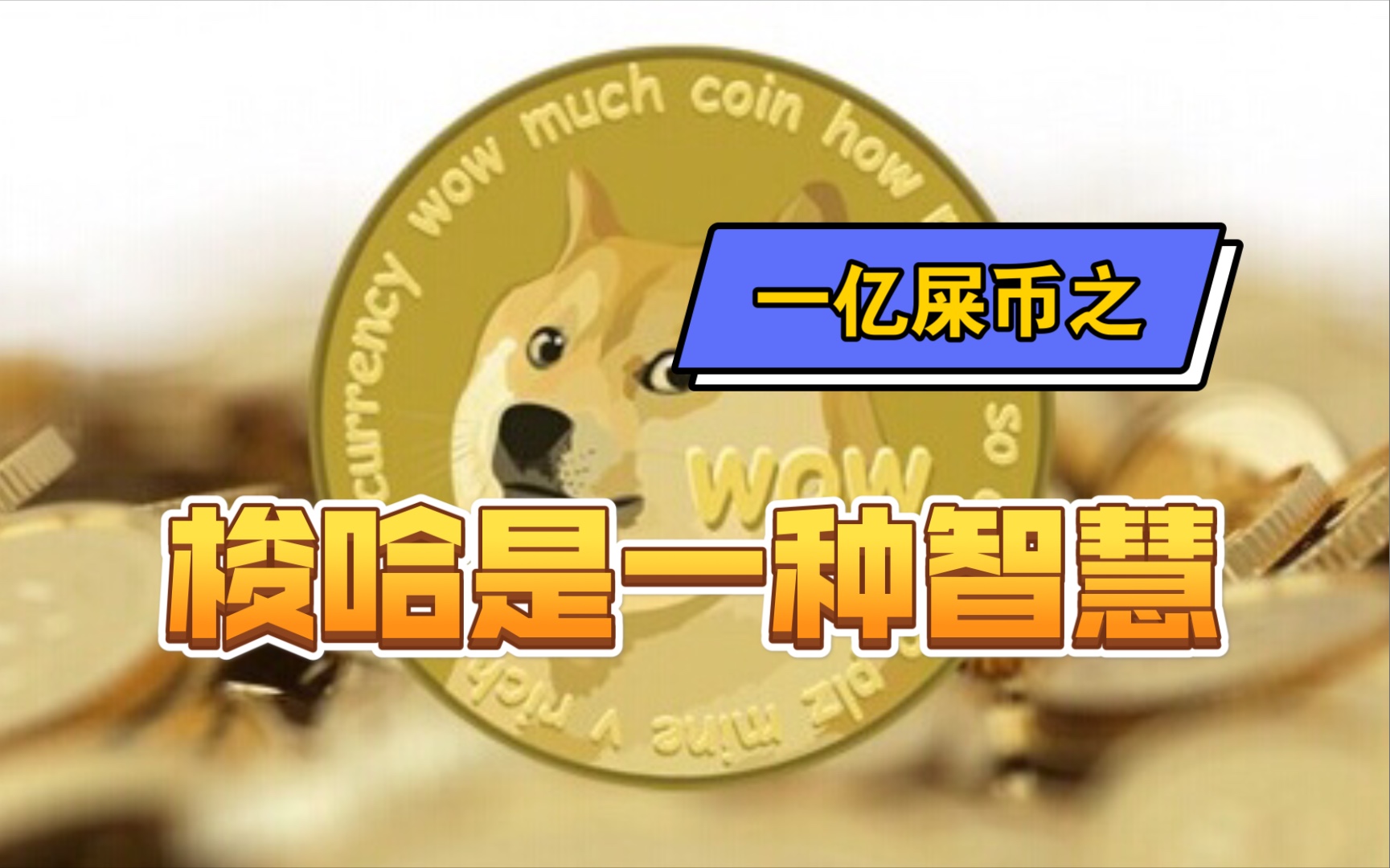 狗屎币(狗屎币今日价格行情)