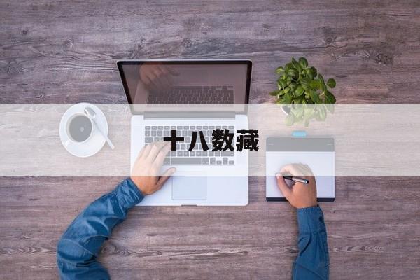 十八数藏(十八数藏官网)